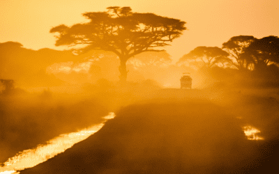Invest In Our Planet (Plus See 10 Things You Can Do To Look and Feel Better)
