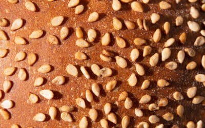 Refined Carbohydrates Are Putting Your Life at Risk—Here’s Why