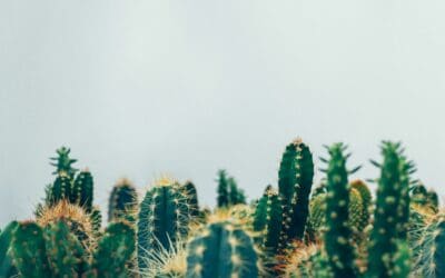Use This “Green” Hack to Improve Your Health Right Now