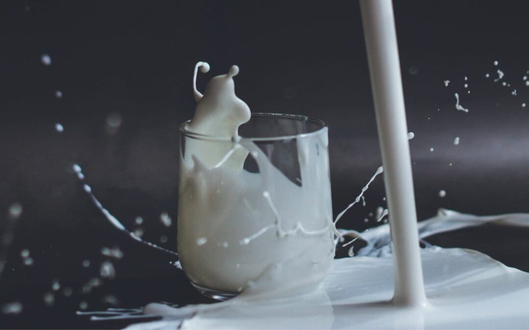 Is Dairy Healthy? Studies Uncover Some Big Benefits