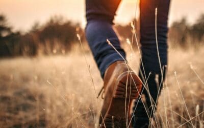 Want More From Your Walks? Science Says Nature Is the Key