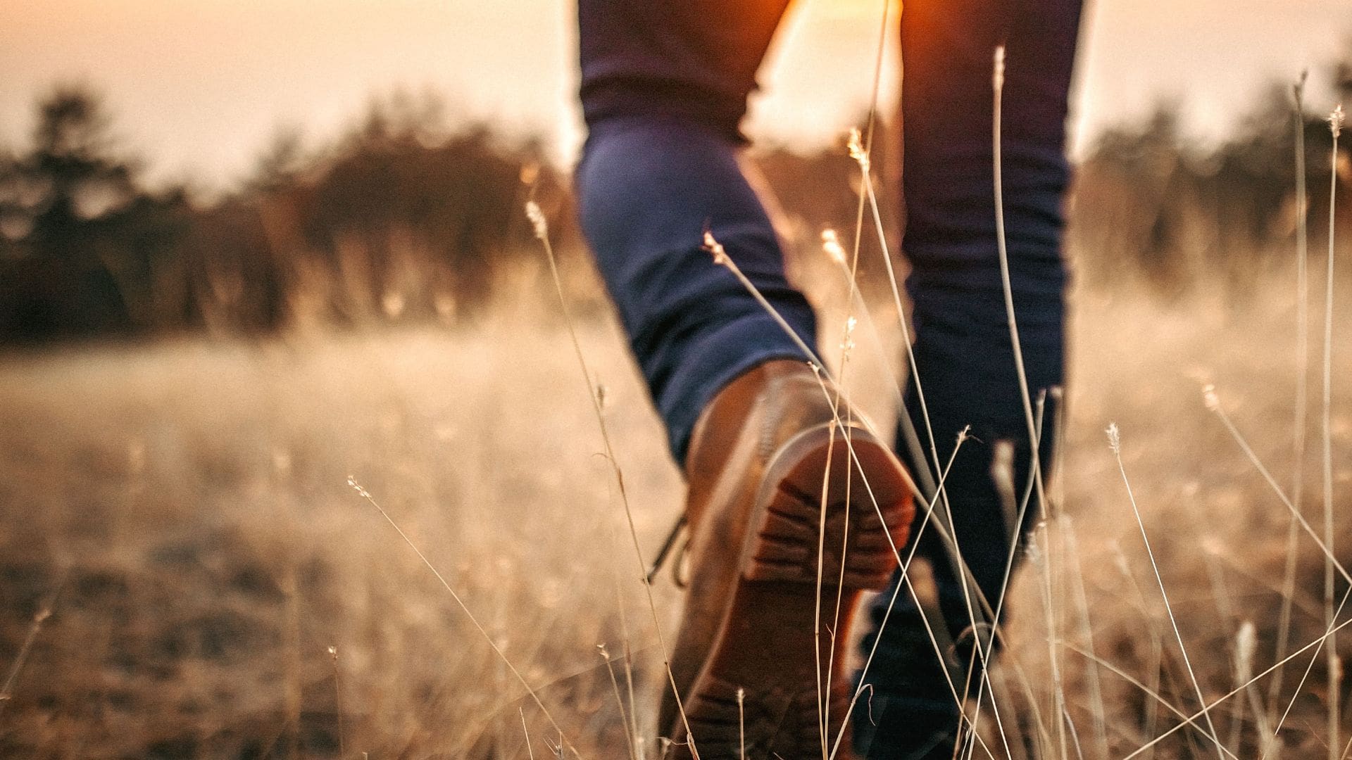 Want More From Your Walks? Science Says Nature Is the Key