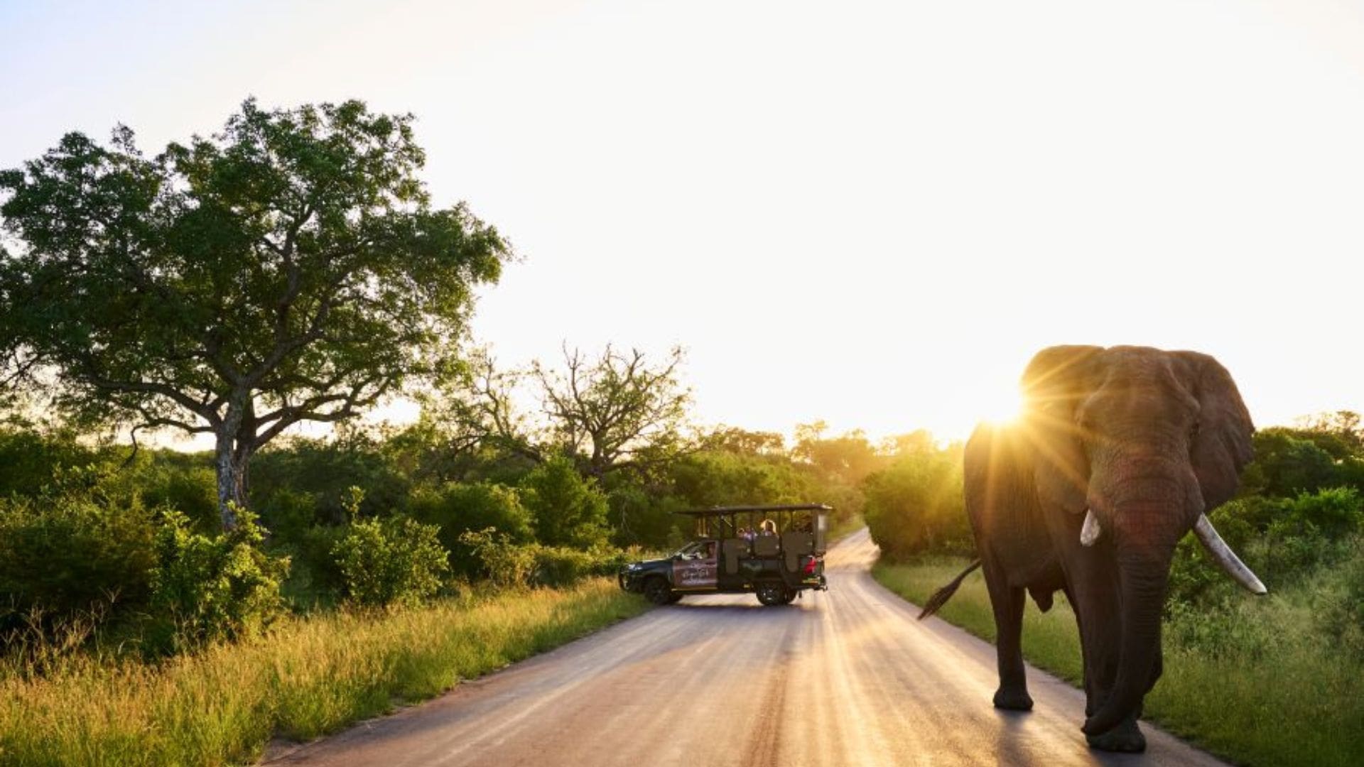 Why 2025 Is the Year to Travel Longer, Sleep Better and Explore More