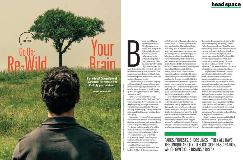 re-wild your brain