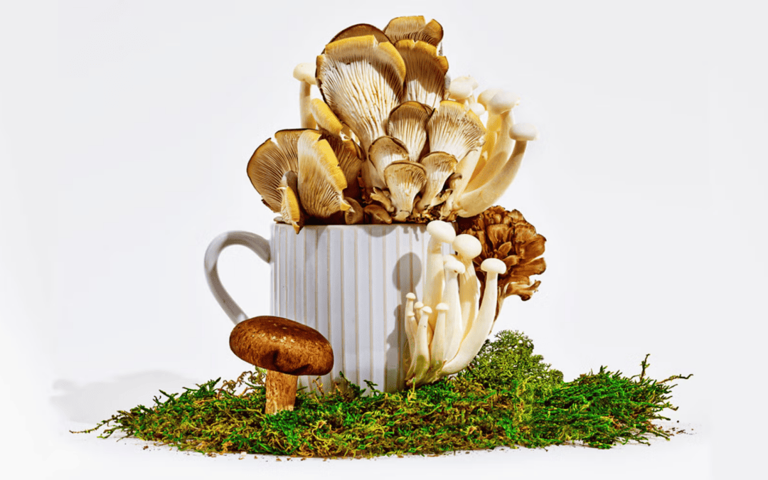 Do Mushroom Supplements Really Work? Dietitians Break Down the Benefits and Risks