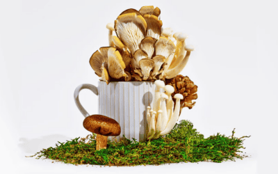 Do Mushroom Supplements Really Work? Dietitians Break Down the Benefits and Risks