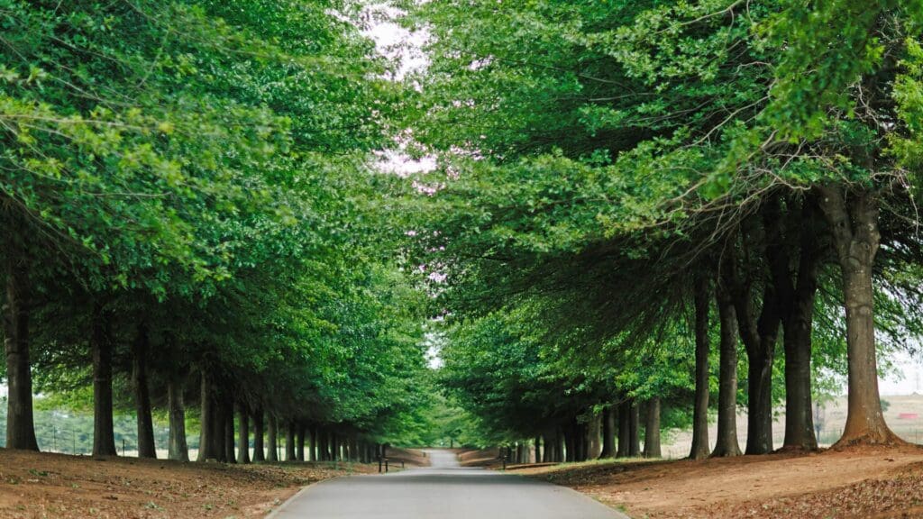 road leading to fordoun hotel & spa